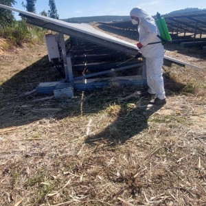Aplicação Herbicida